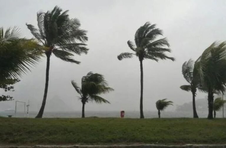 Vendaval coloca cidades do ES em alerta; rajadas podem chegar a 70 km/h