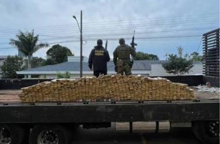 Paraguai apreende 5,2 toneladas de maconha e destrói plantação na fronteira com o Brasil
